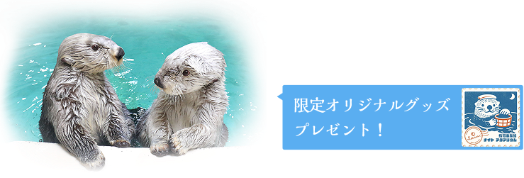限定オリジナルグッズプレゼント！
